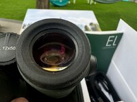 IMG_5414.jpeg