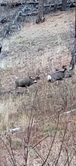 IMG_2240.jpg IMG_2240.jpg