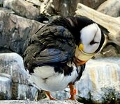 IMG_9997 2.jpeg