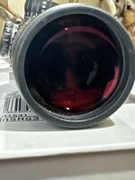 IMG_1163.jpeg