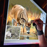digital-taxidermy-service.jpg digital-taxidermy-service.jpg