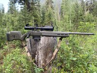 IMG_8851.jpeg IMG_8851.jpeg