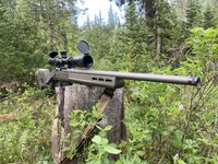 IMG_8852.jpeg IMG_8852.jpeg