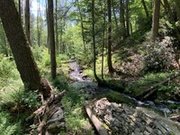 IMG_0334.jpeg