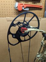 PXL_20240219_013955441.jpg