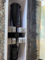 IMG_8985 Medium.jpeg