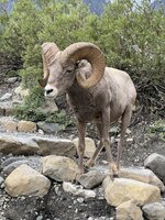 IMG_1416.jpeg