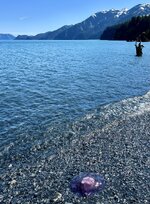 IMG_0005.jpeg