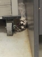 IMG_1834.jpeg