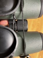 IMG_5871.jpeg