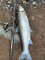 IMG_0421.jpeg
