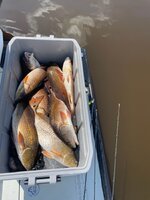 IMG_2800.jpg