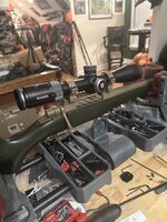 IMG_8022.jpeg