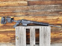 Tikka4.jpg