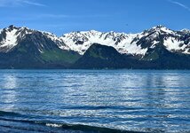 IMG_0008.jpeg