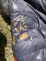 IMG_4527.jpeg