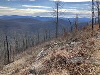 IMG_7060.jpg