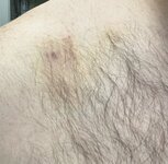 IMG_3503.jpeg