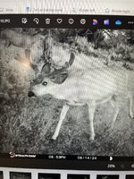 IMG_6764.jpeg