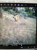 IMG_6766.jpeg