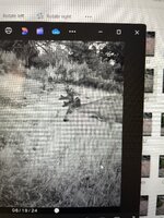 IMG_6767.jpeg