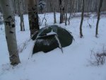 IMG_1040.jpg