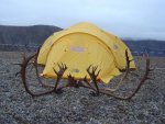 tent.jpg