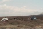 2006 caribou hunt-0005.jpg