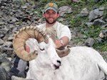 2011 AK Dall Sheep 0#825120.jpg