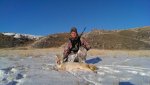 coyote muzzleloader.jpg