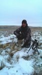 coyote.jpg