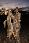 coyote 130.jpg