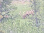 scouting trip 072.jpg