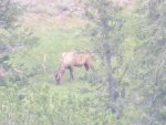 scouting trip 075.jpg