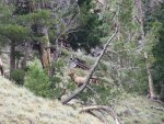 scouting trip 089.jpg