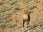 scouting trip 014.jpg