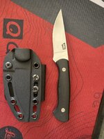 IMG_6342.jpeg