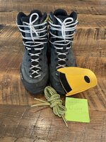 IMG_7906.jpeg