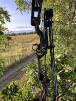 IMG_9293.jpeg