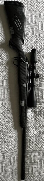 IMG_5385.jpeg