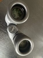 IMG_8750.jpeg