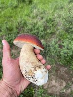 IMG_2749.jpeg
