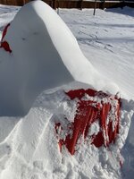 IMG_3532.jpeg