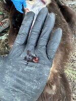 IMG_4554.jpeg