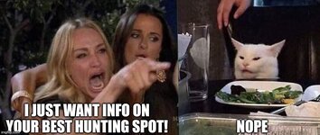 8v65fs.jpg