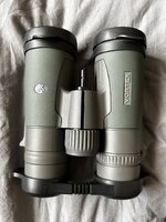IMG_1316.jpeg