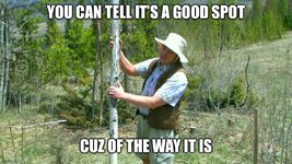 IMG_4631.jpeg