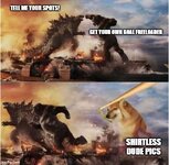 8v7jx5.jpg