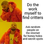 1000004203.jpg