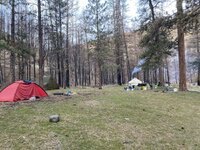 IMG_3011.jpeg
